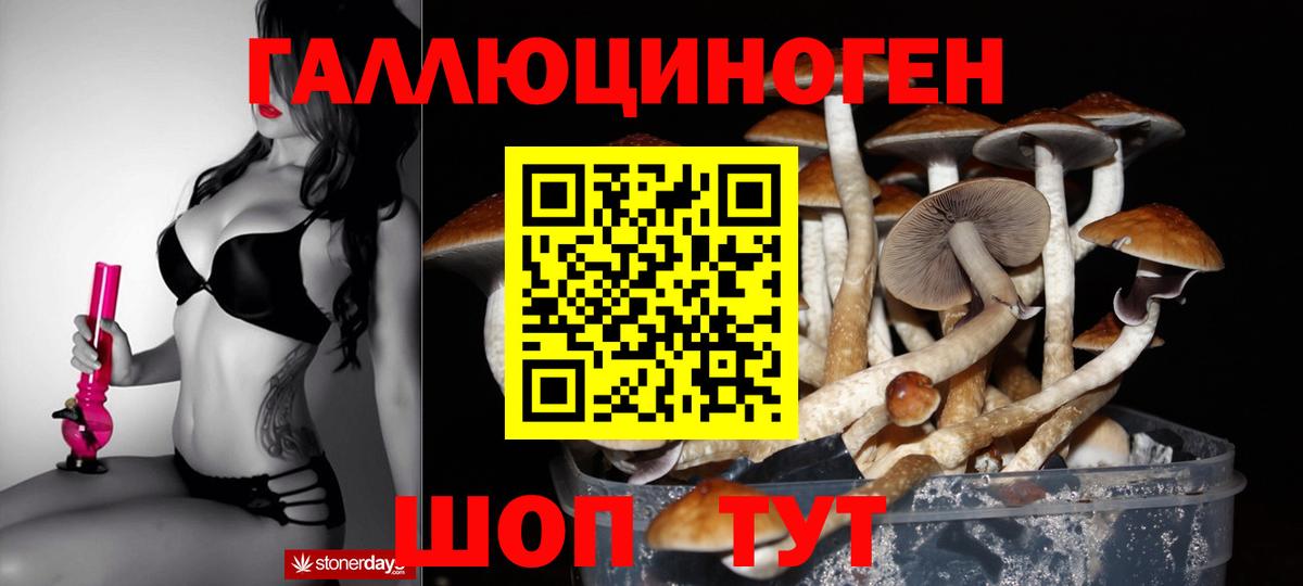 закладка  Псилоцибиновые грибы GOLDEN TEACHER  Вход с VPN  Новокуйбышевск 